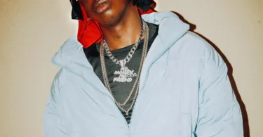 Dj Mushizo - Ng'ombe Aliyegogwa Na Shilole Singeli Beat (Official Audio Cover 2025)