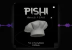 MansuLi Ft ZaiiD – Pishi (Official Audio Cover 2025)