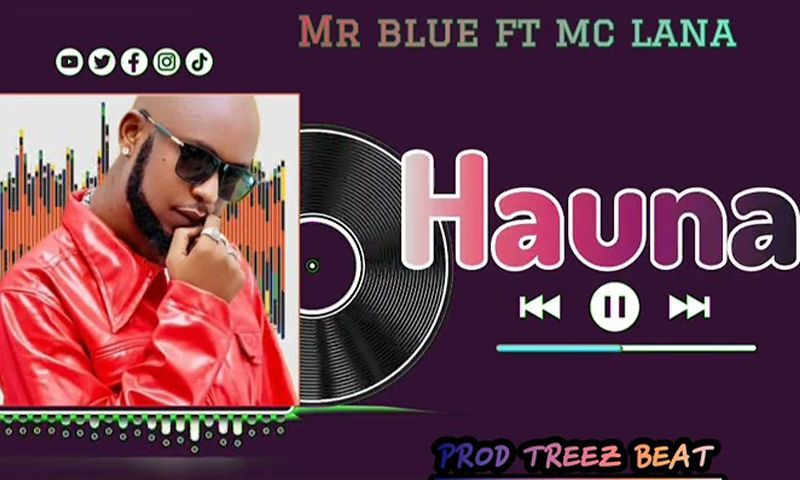 Mr Blue Ft. Mc Lana - Hauna (Official Audio Cover 2025)
