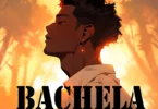Mr Clever - Bachela (Official Audiio Cover 2026)