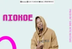 Ngoba Stweka - Niokoe(Official Audio