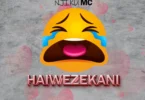 njiku mc haiwezekani ( official audio )(2) (Official Audio Cover 2026)