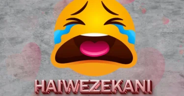 njiku mc haiwezekani ( official audio )(2) (Official Audio Cover 2026)