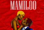 PMT -Mamiloo (Official Audio Cover 2026)