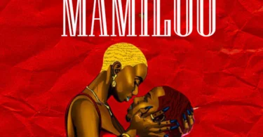 PMT -Mamiloo (Official Audio Cover 2026)