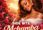 Side Bite - Mchumba (Official Audio Cover 2026)