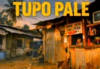Stizo – TUPO PALE (Official Audio Cover 2026)