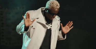 Willy Paul – Party This Year (Double Double)(Official Audio Cover 2025)