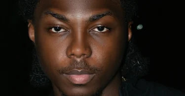 Bayanni – Stick To The Plan (Official Audio Cover 2026)