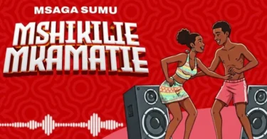Msaga Sumu – Mshikilie (Official Audio Cover 2026)