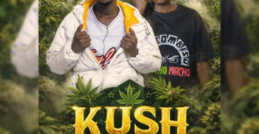 Pato Mc Ft. Bob Kijino - KUSHI (Official Audio Cover 2026)