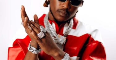 Stiwamji 255 Ft Dayoo - R.i.p Mapenzi Remix (Official Audio Cover 2026)