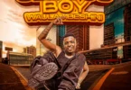 Buda Zoni – Serious Boy Wa Ulambeshini Album(Official Album Cocer 2026)