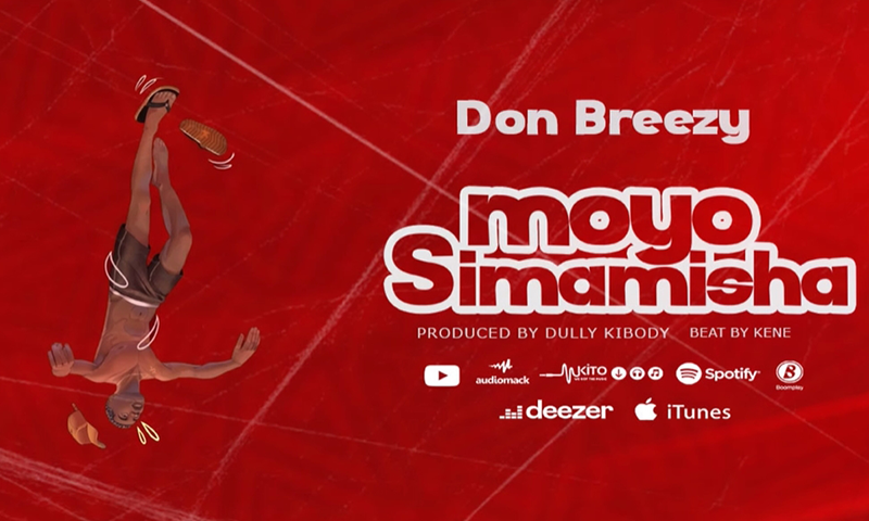 Don breezy - Moyo Simamisha (Official Audio Cover 2026)