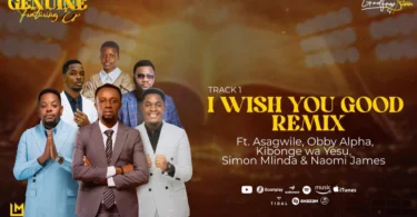 Godfrey Steven – I Wish You Good (Remix) (Official Audio Cover 2026)