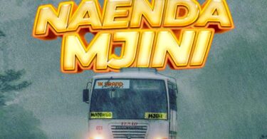 Mc Ngare - Naenda Mjini (Official Audio Cover 2026)