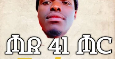 Mr 41 Mc - Tucheze (Official Audio Cover 2026)