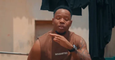 Nay Wa Mitego Ft Raydiance – Mawazo (Official Audio Cover 2026)