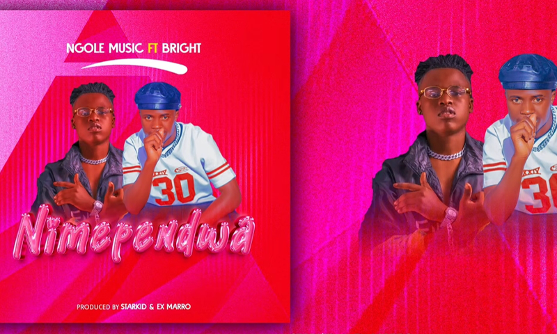 Ngole music Ft. Bright - Nimependwa (Official Audio Cover 2026)