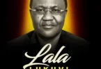 Peter Msechu – Lala Lukuvi (Official AUDIO cOVER 2026)