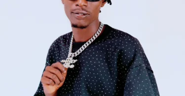 Stizo – Tuludiane (Official Audio Cover 2026)