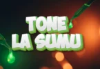 Twanga Pepeta – Tone La Sumu (Official Audio Cover 2026)
