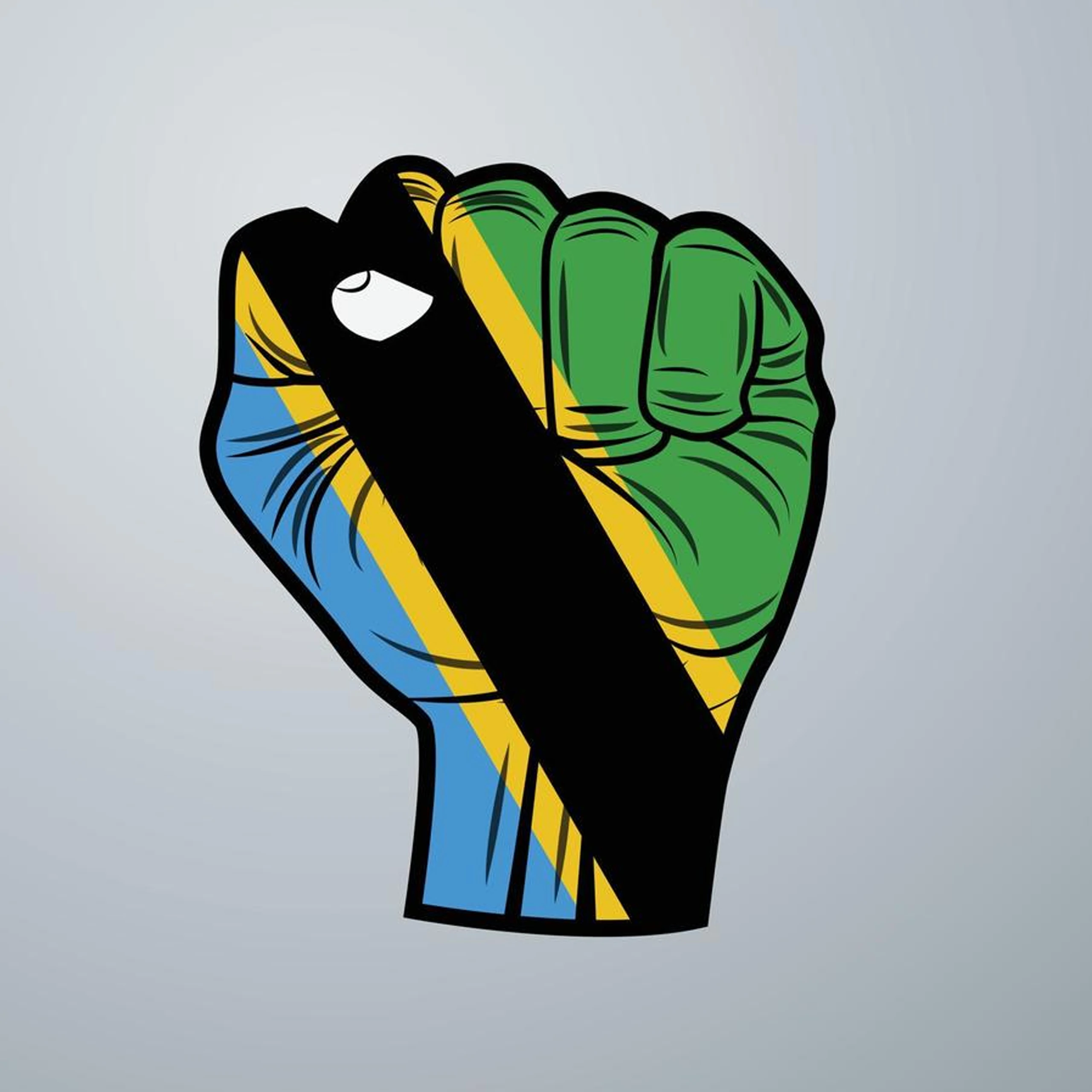 Aznas Link Ft. Hiphop artists – TANZANIA KWANZA (Official Audio Cover 2026)