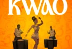 Ballo Dizo - Kwao (Official Audio Cover 2026)