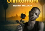 Benny Melody - Ulinitamani (Official Audio Cover 2026)