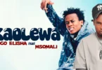 Dogo Elisha Ft. Msomali - Kaolewa (Official Audio Cover 2026)
