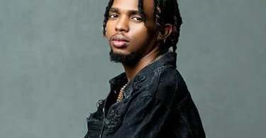 Dogo Janja – Sio Siri (Official Audio Cover 2026)