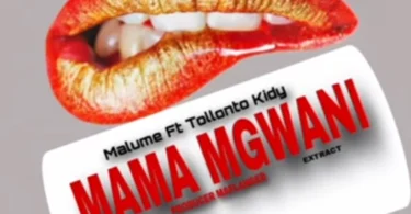 Malume Ft. Tollonto kidy - Mama Mgwani Remix (Official Audio Cover 2026)