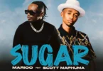 Marioo Ft Scott Maphuma - SUGAR (Official Audio Cover 2026)