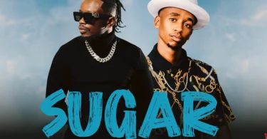 Marioo Ft Scott Maphuma - SUGAR (Official Audio Cover 2026)