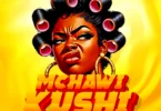 Meddy Brand -Mchaw Kushi (Official Audio Cover 2026)