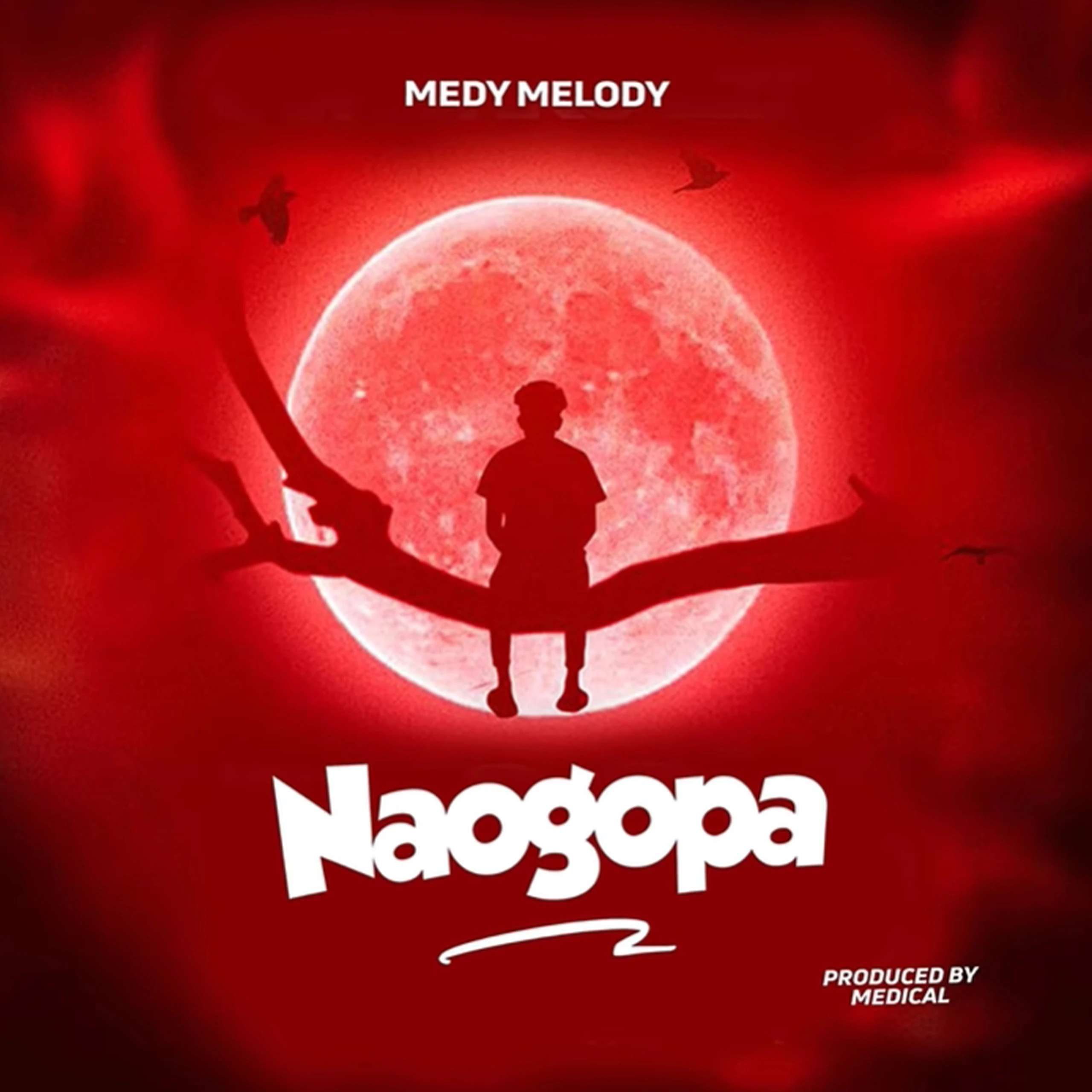 Medy Melody – Naogopa (Official Audio Cover 2026)