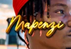 Mkataba Mc – Mapenzi (Official Audio Cover 2026)
