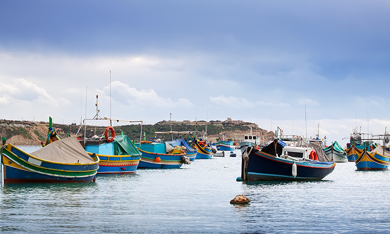 Offside Trick – Samaki (Version 2) (Official Audio Cover 2026)