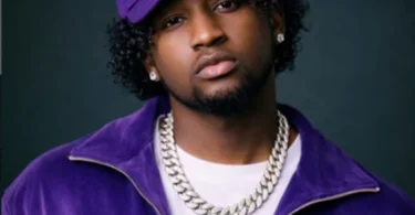 Robby Vibe – Bae (Official Audio Cover 2026)