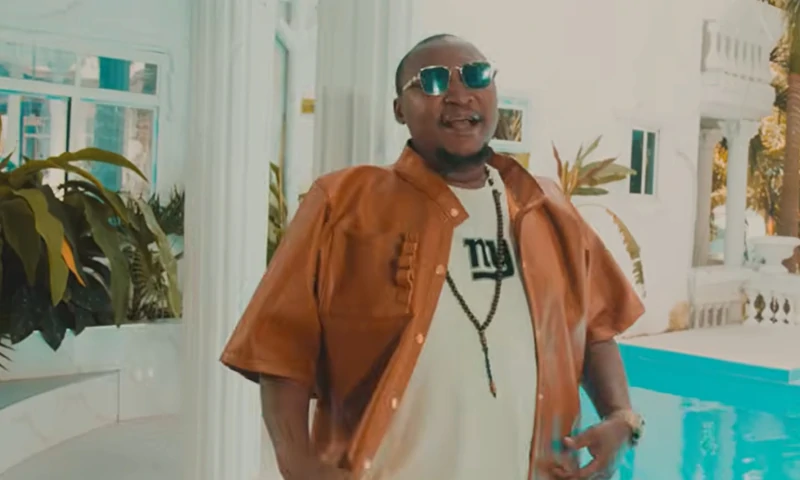 VIDEO Chidi Beenz - Mchaka Mchaka (Official Video Cover 2026)