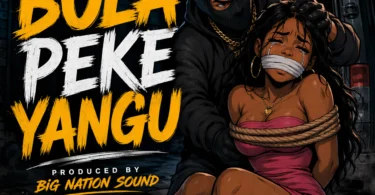 Zero Brain Msanii - Bora Peke Yangu (Official Audio Cover 2026)