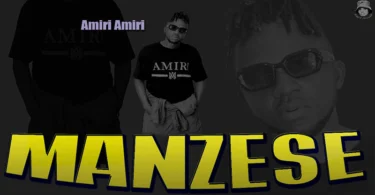 Amiri Amiri - Manzese (Official Audio Cover 2026)