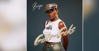 Bwiza – Gake Gake (Official Audio Cover 2026)
