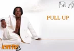 Fabi Africa Ft Chidi Benz – Pull Up (Official Audio Cover 2026)