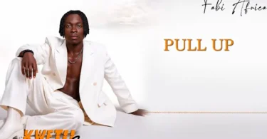 Fabi Africa Ft Chidi Benz – Pull Up (Official Audio Cover 2026)