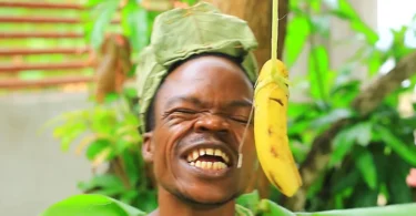 Harmorapa – Karibu bongo (Official Audio Cover 2026)