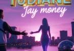 Jay Money - Turudiane (Official Audio Cover 2026)