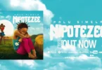 Palu Simela - Nipotezee (Official Audio Cover 2026)