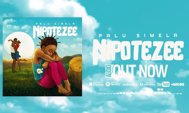 Palu Simela - Nipotezee (Official Audio Cover 2026)