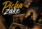 Segule Mwamba - Picha zake (Official Audio Cover 2026)